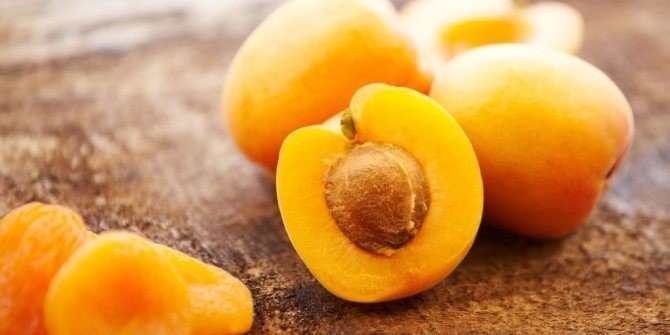 Косточковые плоды абрикос