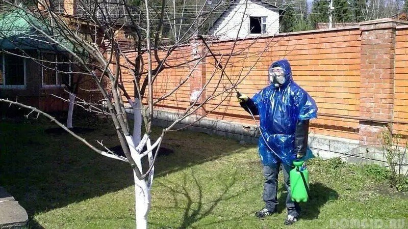 Защитный костюм для опрыскивания сада