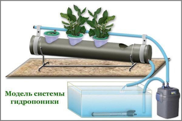 Гидропоника оборудование для выращивания