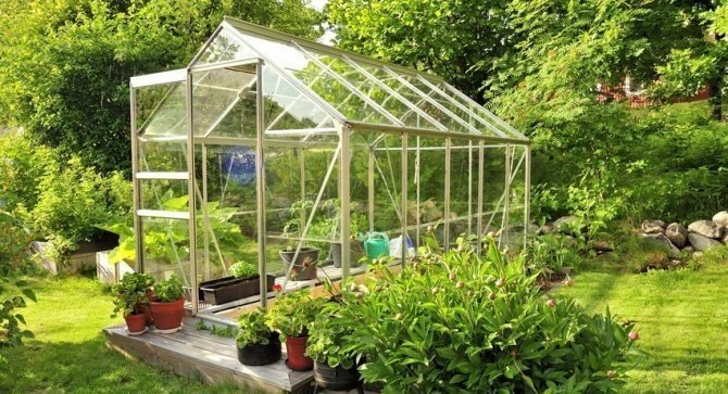 Мини умная теплица greenhouse
