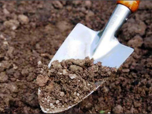 Известкование почвы