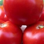 Характеристика, описание и специфика выращивания томат Красная гвардия F1