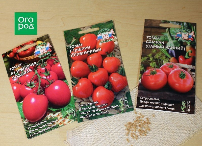 Семена помидор для сибири для открытого грунта низкорослые