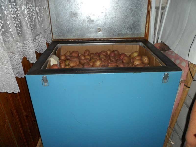Старый холодильник для хранения картофеля зимой