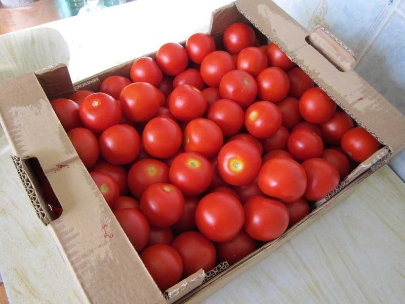 Ящик помидоры сливка