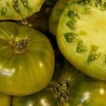 Необычные сорта томатов — с узорчатыми и бархатными плодами
