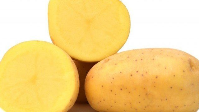 Описание картофеля триумф