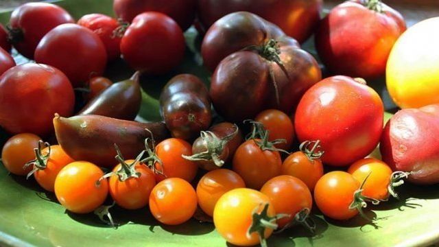 Описание сорта томата Боярыня F1, особенности выращивания и ухода