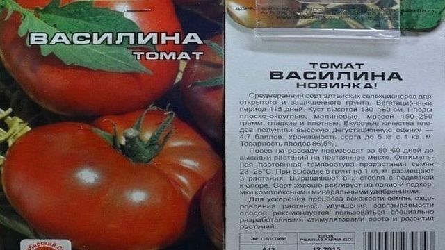 Томат Василина: описание сорта, выращивание и мнение садоводов с фото