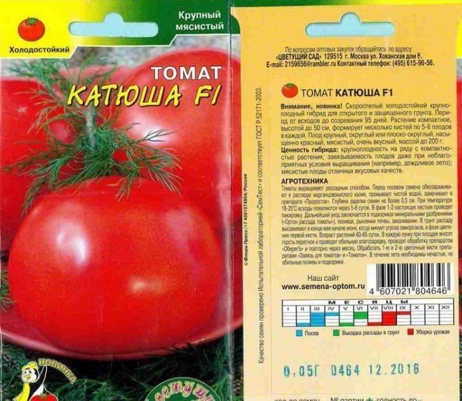 Сорт томатов катюша