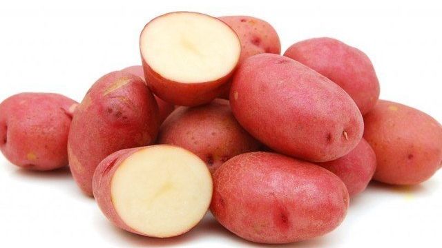 Сорт картофеля алена