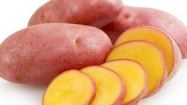Сорт картофеля Ред Фэнтези: ботаническое описание, агротехника выращивания и ухода