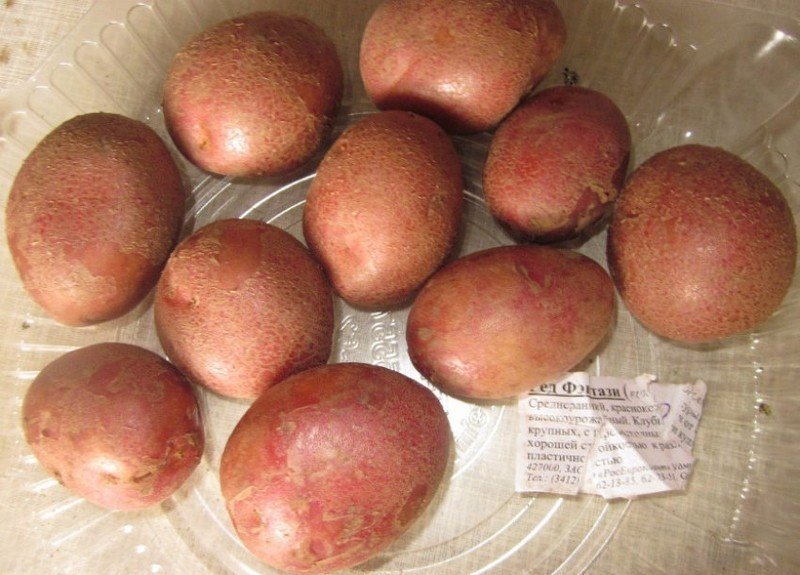 Сорта картофеля амур