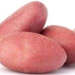 Сорт картофеля Ред Леди: описание и характеристика, отзывы