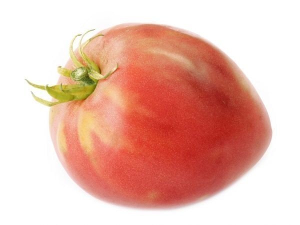 Большой мао помидор
