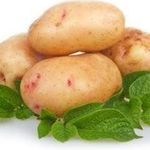 Выращивание раннего картофеля в различных регионах России