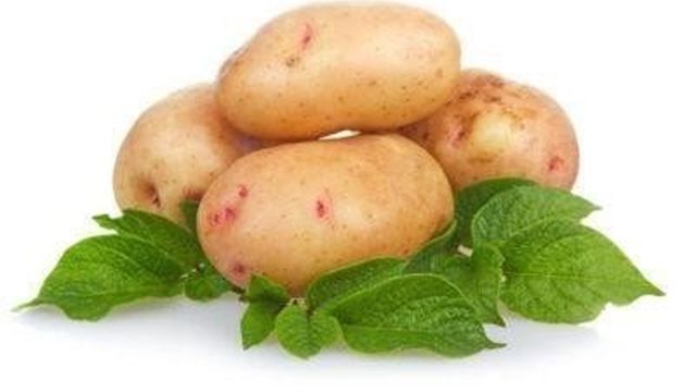 Как правильно выращивать ранний картофель