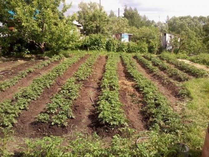 Владимирская область поселок красный огород
