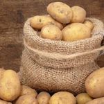 Все о правильном хранении картофеля в овощехранилище