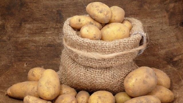 Все о правильном хранении картофеля в овощехранилище