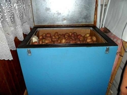 Ящик для хранения картошки в сарае зимой