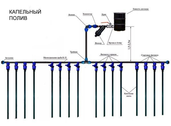 Система капельного полива из пнд труб схема