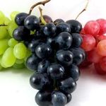 Виноградный клещ — методы борьбы. Клещ войлочный виноградный, зудень