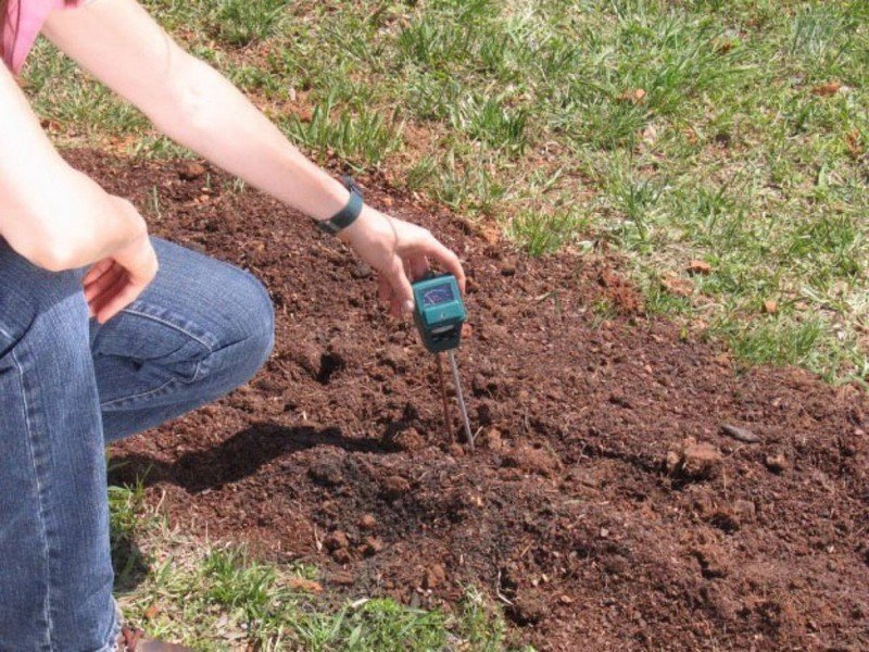 Почва для посадки низкая кислотность почвы