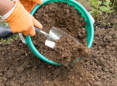 Обработка почвы для рассады