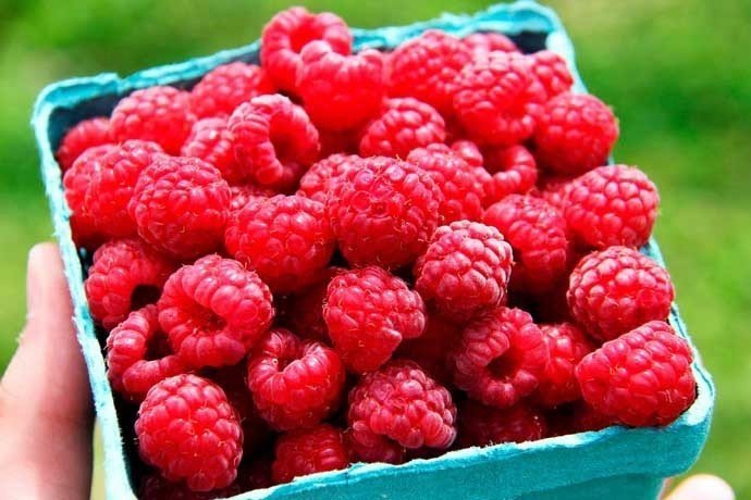 Блэкберн raspberries