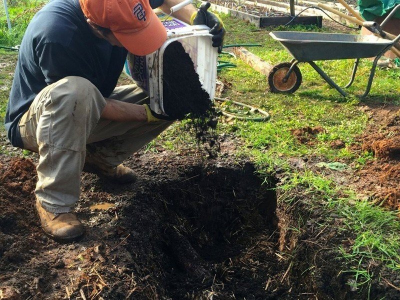 Подготовка почвы к посадке малины