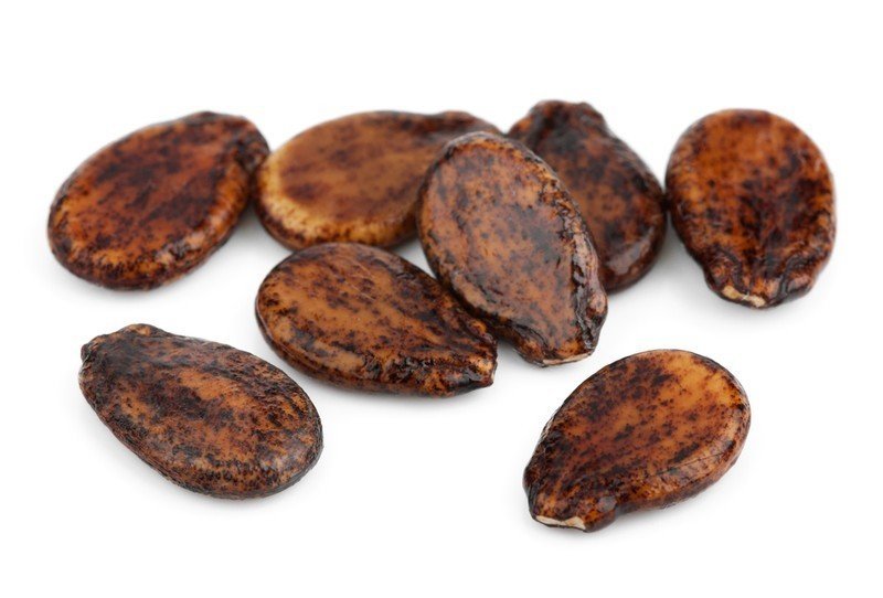 Raw cacao beans