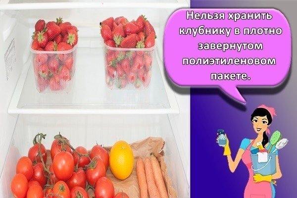Контейнеры для хранения клубники в холодильнике