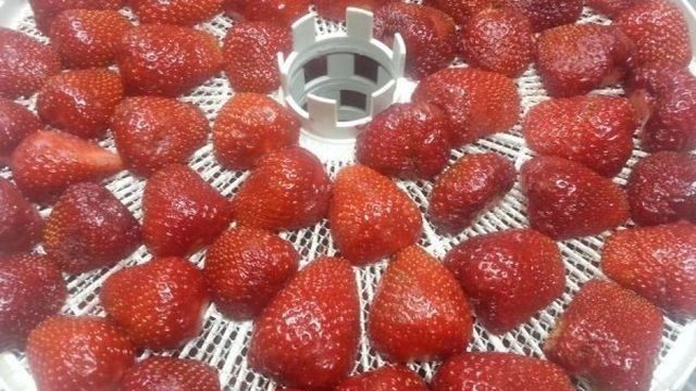 Как правильно сушить ягоды