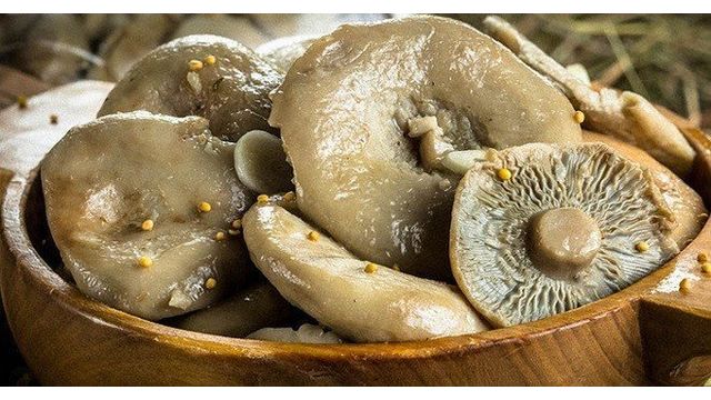 Как солить грузди — самые лучшие рецепты грибных заготовок