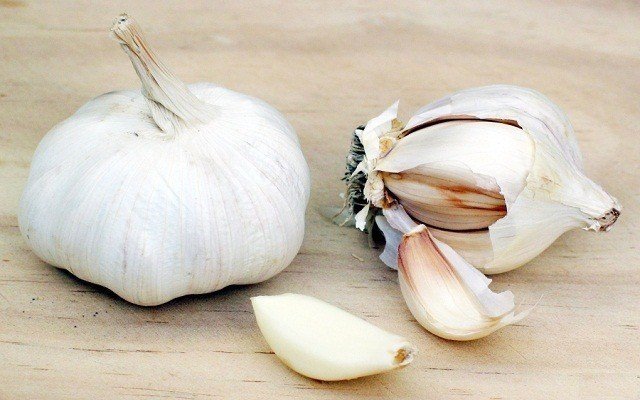 Garlic по английскому