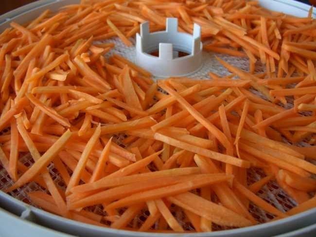 Сушка моркови в электросушилке